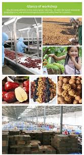 Cheap cashew nut | wholesale cashew. Private Bottle Package Roasted Mixed Nuts Malaysia Assorted Nuts Dried Nuts Mixed Kernels Snack 11 Items Wholesale Price Buy Mixed Nuts Roasted Mixed Nuts Assorted Nuts Product On Alibaba Com