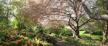 Image result for geelong botanic garden