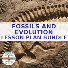 I've written two sets of engaging writing prompts, aligned with our fifth grade spelling word list. Fossil Lesson Plans Worksheets Teaching Resources Tpt