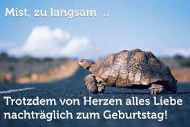 Alles Gute Zum Geburtstag 100 Tipps Spruche Karten