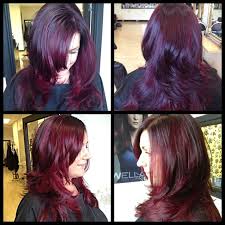 Wella Koleston Hair Color Creme 302 0 Natural Black Colour