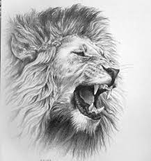 Animal sketches animal drawings drawing sketches art drawings drawing ideas lion sketch eye sketch elephant eye lion eyes. Amazing Eye Pencil Drawing Just Pencil As A Sample Procedure Can Make A Mens Lion Tattoo Lion Sketch Lion Tattoo