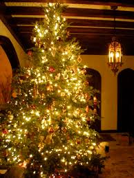 This link is to an external site that may or may not meet accessibility guidelines. File Christmas Tree Jpg Wikimedia Commons