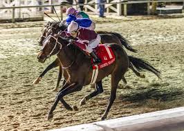 Log on to manage your online trading and online banking. Slideshow Meet The 2021 Preakness Stakes Contenders America S Best Racing
