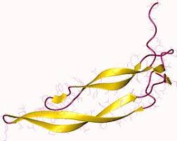 Platelet Derived Growth Factor Wikipedia
