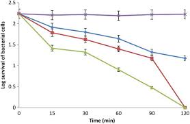 Image result for Lecaniodiscus
