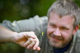 NEW for 10/7: Church bicentennial; Historic home; Spiders