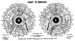 Iridology Chart This Is The Iridology Chart Developed By Dr