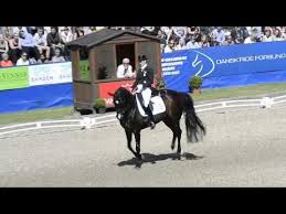 The austrian grand prix is just around the corner. Dm Dressur Grand Prix Kur Nathalie Zu Sayn Wittgenstein Og Digby Dressur Pferde