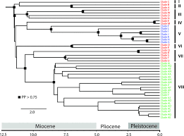 When i played in ukraine, our manager took us to a russian military base there in ukraine to motivate the team. Deep Diversification And Long Term Persistence In The South American Dry Diagonal Integrating Continent Wide Phylogeography And Distribution Modeling Of Geckos Werneck 2012 Evolution Wiley Online Library