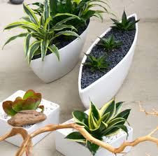 Mygift decorative artificial succulent plant arrangement with oval gray pot. Modern Plants Milkweed And Maple