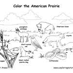 Smithlifescience.com is your first and best source for all of the information you're looking for. Habitats Biomes Coloring Nature