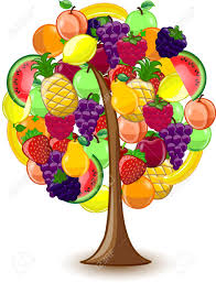 Check spelling or type a new query. Tree With A Variety Of Fruits Royalty Free Cliparts Vectors And Stock Illustration Image 12823392