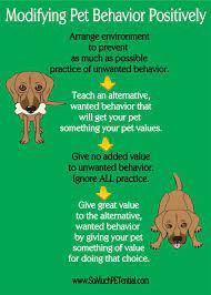 Four Steps To Solving Dog And Other Pet Behavior Problems Dog Training Animal Behavior Dog Clicker Training Dog Training