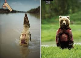 15 Most Creative Green Ads Green Advertising Oddee Advertising Framed Tv Animals