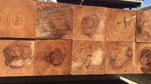 住友林業ミズダス mizdas 杉 乾燥材 kd材 オリーブホーム 栃木県小山市 杉 栃木県 ホーム