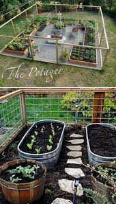 Easy Diy Low Maintenance Garden Vegetable Garden Design Backyard Vegetable Gardens Plants