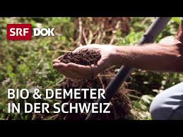 Netz natur sendung vom 10.12.2020. Landwirtschaft Ohne Pestizide Netz Natur Mit Andreas Moser Doku Srf Dok Litetube