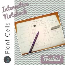 Before exploring the details of cell structure, let's understand the differences in the structure of an onion cell and a human cheek cell. Plant Cell Interactive Notebook Teaching Resources
