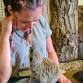 Meerkat Encounter event image