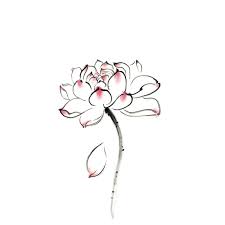 Rabu, 19 agustus 2020 add comment edit. Lotus Bunga Teratai Air Lilycosplay Animasi Kartun Logo Tato Stiker Tato Xr127 Stickers Stickers Cartoon Stickersanimal Cartoon Sticker Aliexpress