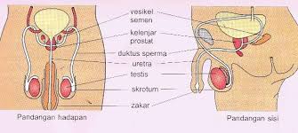 We did not find results for: Https Gurubesar My Wp Content Uploads 2019 01 371120497 Nota Sains Tingkatan 1 Bab 4 Pdf