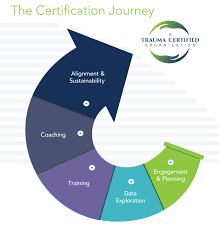 We have to understand how trauma affects the mind body system; Organizational Certification Trauma Institute International