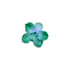 Flower Edited By Shay Liked On Polyvore Line Art Flowers Flowers Flower Art