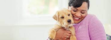 You will also be asked to provide: Pet Insurance Cover For Your Pets Post Office Money
