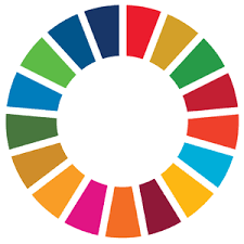 Résultat de recherche d'images pour "global goals"