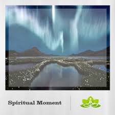 Stream Tracy daisy music