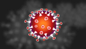 Coronaviruses (cov) were identified as human pathogens in the 1960s. Stadt Delmenhorst Aktuelles Coronavirus