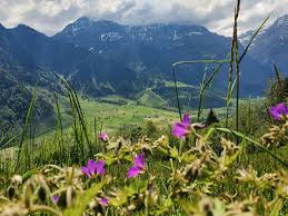 Somewhat unusually, the boundary between the two cantons does not lie at the summit of the pass. Diesbach Berglistuber Und Stauben Drei Wasserfalle Am Klausenpass Rapunzel Will Raus