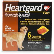 Heartgard Plus Chewables For Dogs 51 To 100 Lbs 6 Month Supply Petco Heartworm Prevention Heartworm Heartworm Disease