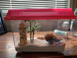 While land hermit crabs are not the most difficult pet to own, they do require more care than you may know in order to thrive. Best Hermit Crab Cage For Sale In Lynchburg Virginia For 2021