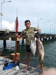 We did not find results for: Lombok Speargun Costome By Request Panah Ikan Lazada Indonesia