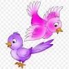 Gambar wallpaper burung hantu kartun frame own burung sumber : 1