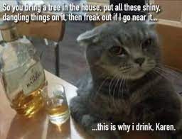 This Is Why Karen In 2021 Cat Quotes Funny Christmas Cat Memes Cat Jokes