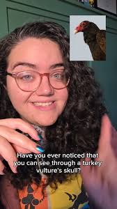 NEW EPISODE! Join Ellen & evolutionary morphologist Dr. Kassandra Ford as  we get amped up about electric fishes. We discuss fish who use electricity  to make mind maps, sabotage each other by