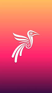 And learn more about kuni cam: Kuni Apk 1 4 Download For Android Download Kuni Apk Latest Version Apkfab Com