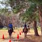 Ground and mounted archery rally event image
