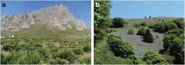 O millenniumbcp.pt é um serviço do banco comercial português s.a. Plant Biogeography And Vegetation Patterns Of The Mediterranean Islands Springerlink