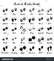Animal Tracks Foot Print Guide Ad Sponsored Tracks Animal Foot Guide In 2020 Animal Footprints Animal Tracks Animal Print Tattoo