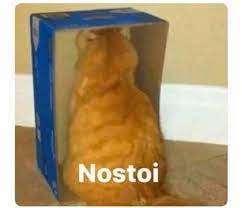 Lo Que Sale De Mi Galeria Memes Graciosos Para Whatsapp Imagenes Para Memes Memes Para Comentarios