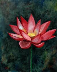 Image result for Lotus