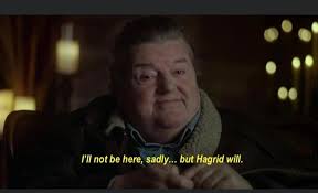 Pottermore Chosen Ones