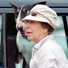 Princess Anne's unruly dogs almost got her arrested