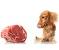 Dogs Eating Human Food