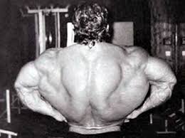 Learning effective ways of how to stretch lower back muscles can be an important part of your workout routine. The Best Spinal Erector Exercises Revolutionary Program Design