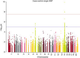 We did not find results for: Gene And Pathway Level Analyses Of Germline Dna Repair Gene Variants And Prostate Cancer Susceptibility Using The Icogs Genotyping Array British Journal Of Cancer